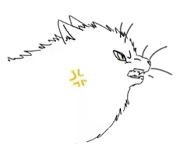 kittyyuan