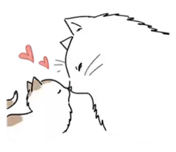 kittyyuan