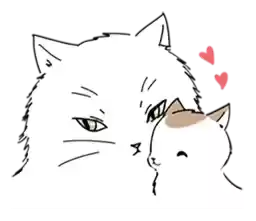 kittyyuan