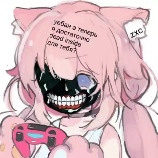 kojimaspp