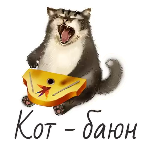 kot_kp