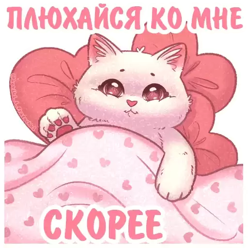 kotiki_i_frazochki_love