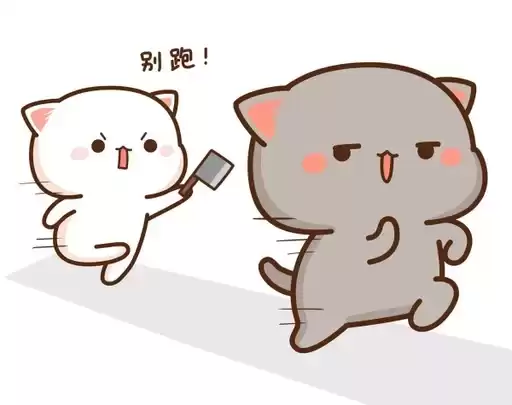 kotiki_mkup