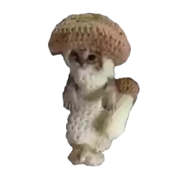 kotikikiktiitiit