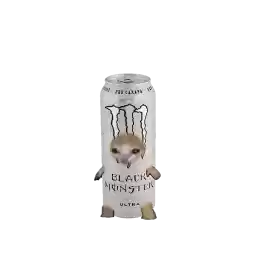 kotikikiktiitiit