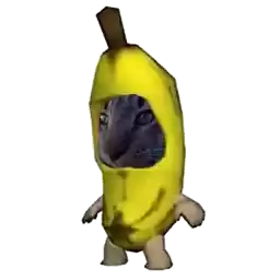 kotikikiktiitiit