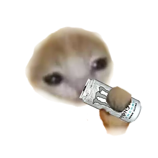 kotikikiktiitiit