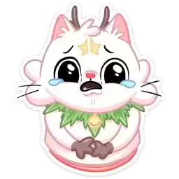 kotostrofa_kitty