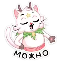 kotostrofa_kitty