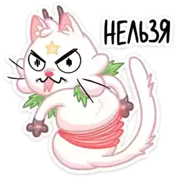 kotostrofa_kitty