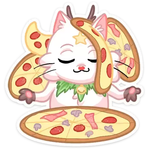 kotostrofa_kitty