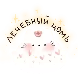 kotyaintrovert