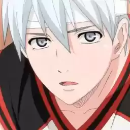 kurokocchii