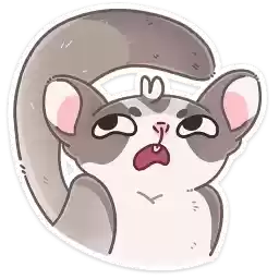letty_vk