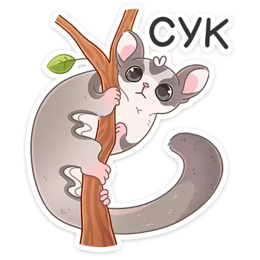 letty_vk