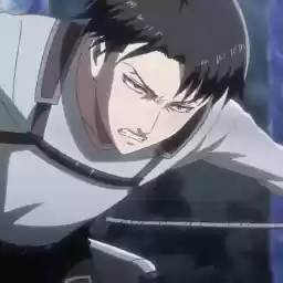 leviiiackermann