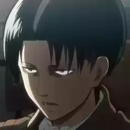 leviiiackermann