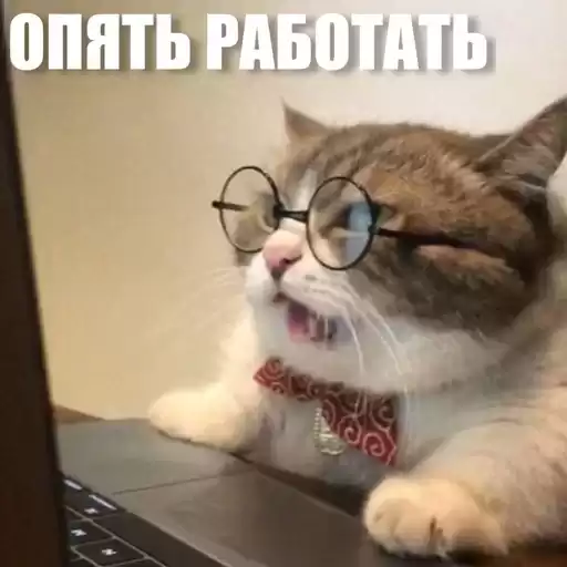 lifeytNY