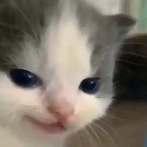 lllllllIiI