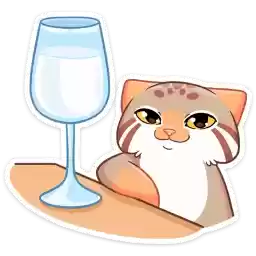 manul_vk