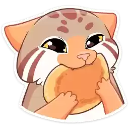 manul_vk