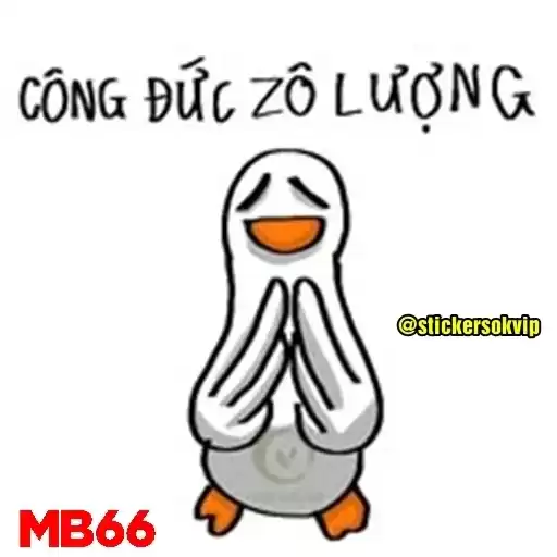 mb66vit