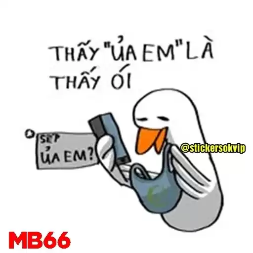 mb66vit