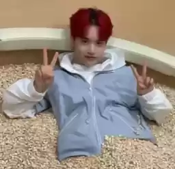 mcndmemebylnstcks