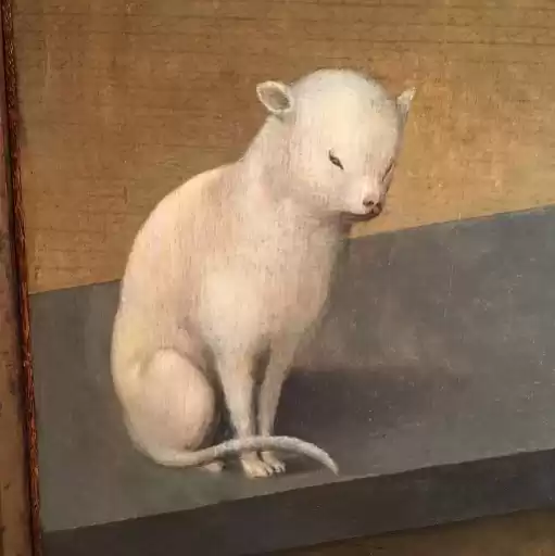 medieval_cats_bitrmn