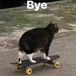 memsos