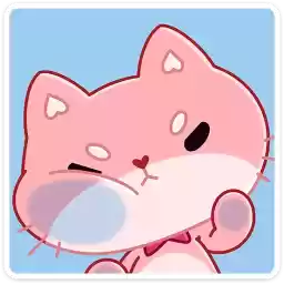 meo_vk