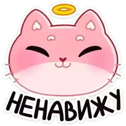 meo_vk
