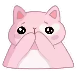 mewki228