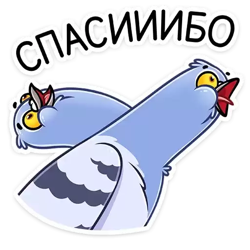 michael_the_pigeon