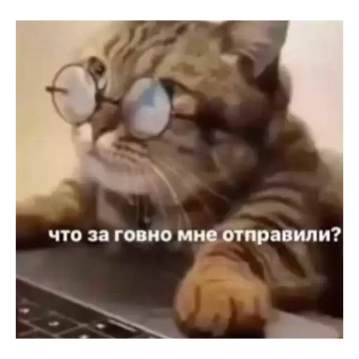 mimimiforyourlife