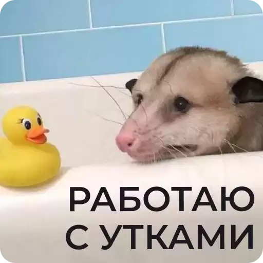 minec_russia