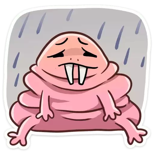 molerat_vk