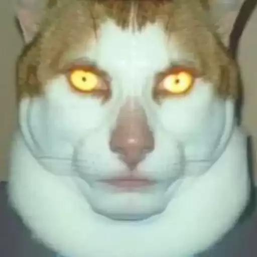 mondelefmibroken