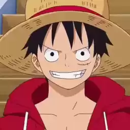 monkeyDLuffy_dtrvs