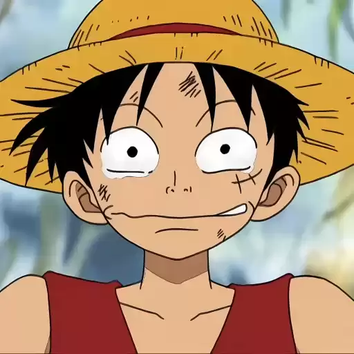 monkeydluffyold