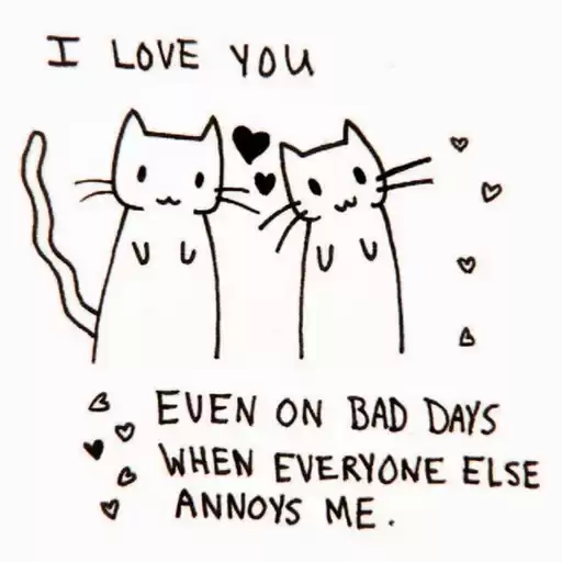 moodbylivia