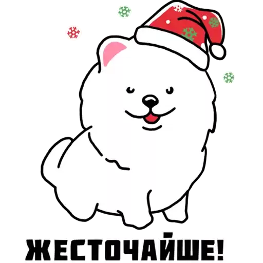 mpravda