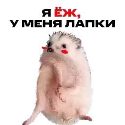 mtsbank_ezh