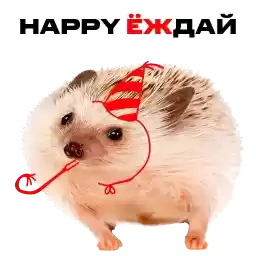 mtsbank_ezh