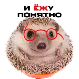 mtsbank_ezh