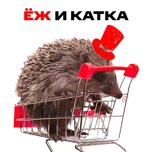 mtsbank_ezh