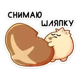 mushrooms_vk