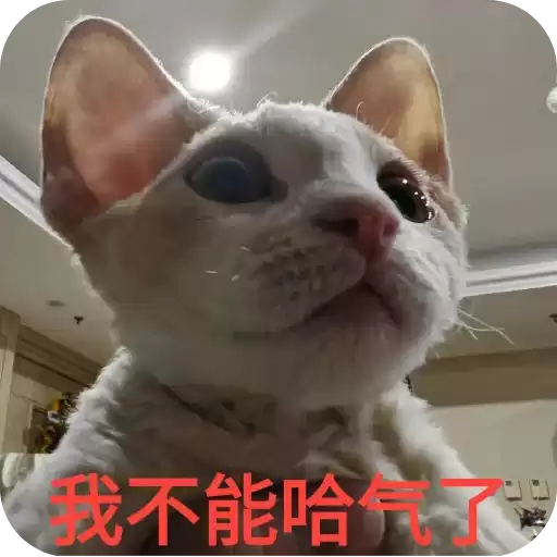 muyedegenxin_by_fStikBot