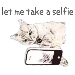 nalaandwhitecoffeecat