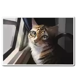 neuro_catss